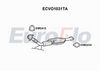 ecvo1031ta.JPG