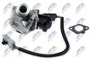 EGR-FR-005_1-WM.JPG