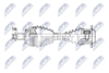 NPW-VW-224_9-WM.PNG