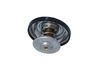 Termostat, chladivo 725216
