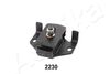 GOM-2230_2.JPG