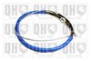 QH_BC3615.JPG