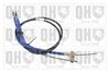 QH_BC3625.JPG
