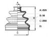 BCB6364_832244.JPG