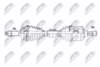 npw-ns-203_9-wm.PNG