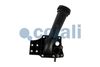 Termostat, chladivo 2261242