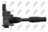ECZ-PL-038_3-WM.JPG