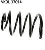 VKDL 37014.JPG