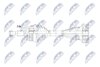 NPW-AU-087_9-WM.PNG