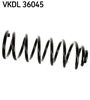 VKDL 36045.JPG
