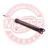 313551-PCS-MS.JPG