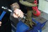 Laser Tools Chisel Set 8869