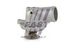 FT58021_1_1.JPG