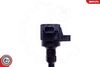 SKV_03SKV309_WM_04.JPG