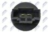 ECT-VW-004_6-WM.JPG