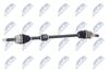полуоска