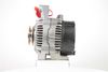 IR7801_2.JPG
