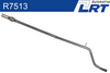R7513.PNG