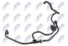 BPP-FR-005_2-WM.JPG