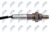 ESL-AU-014_2-WM.JPG