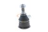 162_V10-9519-1.ZIP
