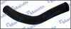 DCC020686(1).JPG