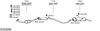 SYS18395.JPG