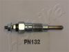 PN132_1.JPG