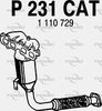 P231CAT.JPG