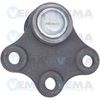 26903_2.JPG