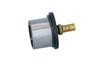 Termostat, chladivo 725029