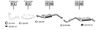RE100295.BMP