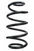 87656.JPG