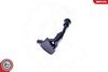 SKV_03SKV274_WM_03.JPG