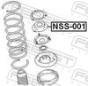 NSS-001_1.JPG