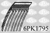 6PK1795.JPG
