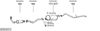 SYS16171.JPG