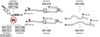 SYS14467.JPG