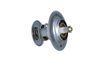 Termostat, chladivo 725214