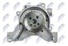 BPO-VW-012_3-WM.JPG