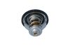 Termostat, chladivo 725140