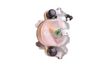 APEC Brake Caliper RCA111N