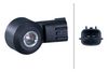 HELLA Knock Sensor 6PG 013 114-981