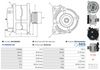 A01236(SEG)_256960.JPG