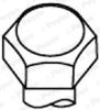 HBS439_56477.JPG