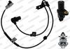 abs00966_5311750.JPG