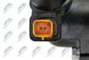CTM-PE-010_7-WM.JPG