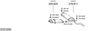 SYS13290.JPG