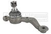 FIRST LINE Ball Joint FBJ5512