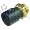 Термовыключатель, вентилятор радиатора DELPHI TS10342